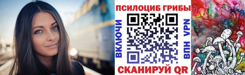 купить   Нижневартовск  Псилоцибиновые грибы мухоморы 